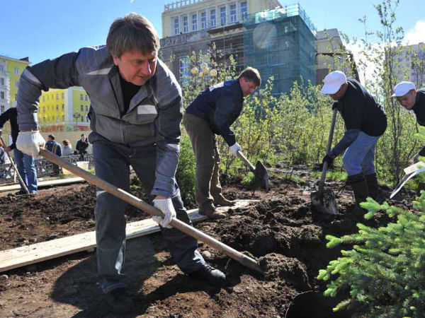 Ландшафтная мастерская «LENOTR-PARK» посадила 5000-е дерево в Москве
