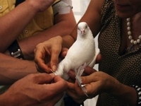 В Одессе у павильона «Алтарь наций» выпустили в небо сотню голубей с заветными желаниями одесситов
