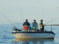 В Интернете появилась новая социальная сеть для рыбаков Ribalochka.net