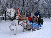 Сегодня в Москве пройдут новогодние соревнования по верховой езде