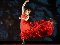 Премьера проекта «Классика и театр фламенко» состоится 28 мая