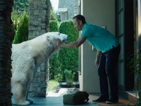 В эфире появилась новая реклама пива «Белый Медведь»