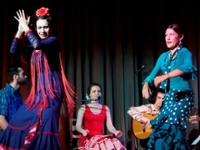 Проект «Классика и театр фламенко» представил премьеру концерта