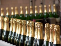 В Украине уменьшилось производство шампанского
