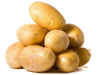 В РФ завезут семенной картофель из трёх стран ЕС