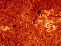 Учёные NASA: На поверхности Солнца обнаружено чёрное пятно