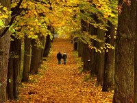 Ученые: ежедневные прогулки продлевают жизнь