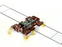 В Калифорнийском университете создали супербыстрого робота-таракана