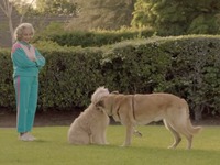 Новый рекламный ролик от Subaru заставит собак говорить