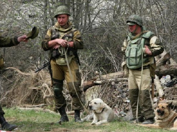 На границе Ростовской области и Украины найдена противотанковая мина