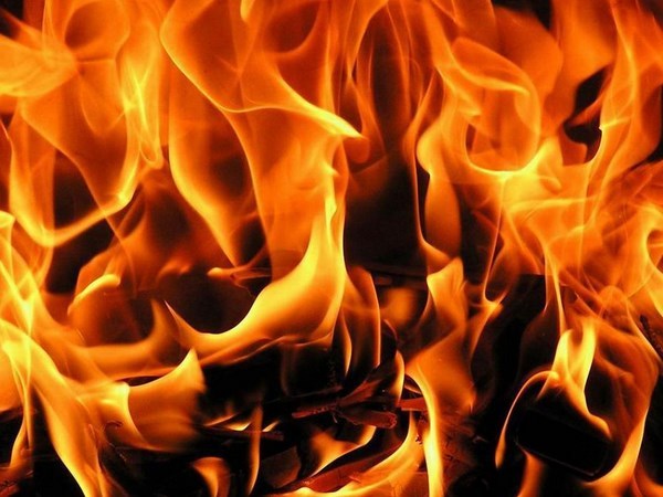 На пожаре во Всеволожском районе погибли три человека