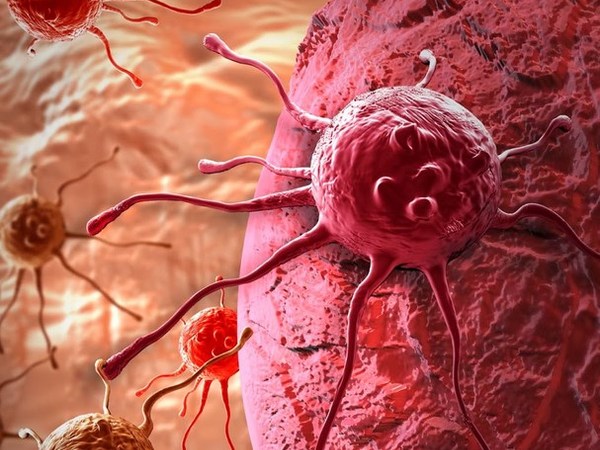Ученые из США научились превращать раковые клетки в здоровые