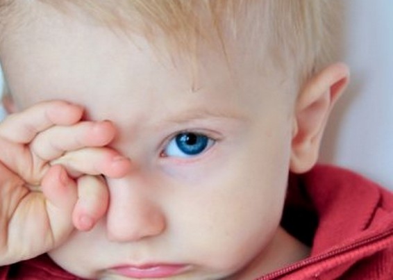 Ученые: Стрессовые ситуации снижают умственные способности детей