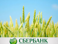 В этом году «Сбербанк» выделил 15,7 млрд рублей на посевную кампанию