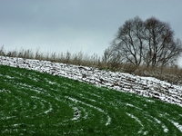 Плохая погода в Украине может существенно ослабить урожайность в 2012 году