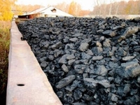 Украинская энергетическая биржа привлекла гигантов угольного рынка