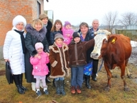 Украинской многодетной семье подарили корову