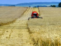 В Беларусь возвращается НЭП