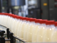 Россельхознадзор демонстрирует непереносимость лактозы, ограничив ввоз украинской молочной продукции