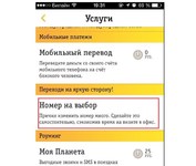 Мобильное приложение от «Билайн» поможет пользователю изменить телефонный номер