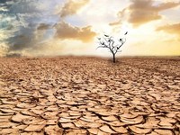 Ученые обеспокоены уменьшением запаса пресной воды на Земле