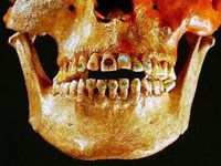 Ученые доказали, что люди умели лечить зубы 14 тысяч лет назад