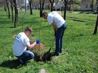 Волонтеры «Киевстар» и журналисты помогли Николаеву стать более зеленым и уютным