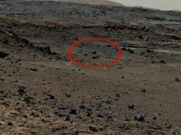 NASA: на снимке с поверхности Марса обнаружен загадочный летающий шар