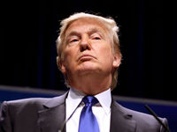 Дональд Трамп выкупил домены, содержащие оскорбления в его адрес
