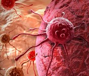 Ученые из США научились превращать раковые клетки в здоровые