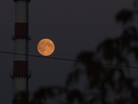 Пользователи соцсетей делятся фото огромной луны
