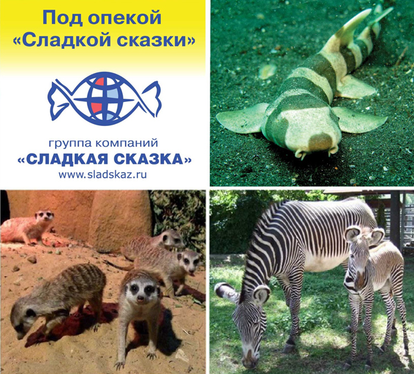«Сладкая сказка» опекает животных Московского зоопарка